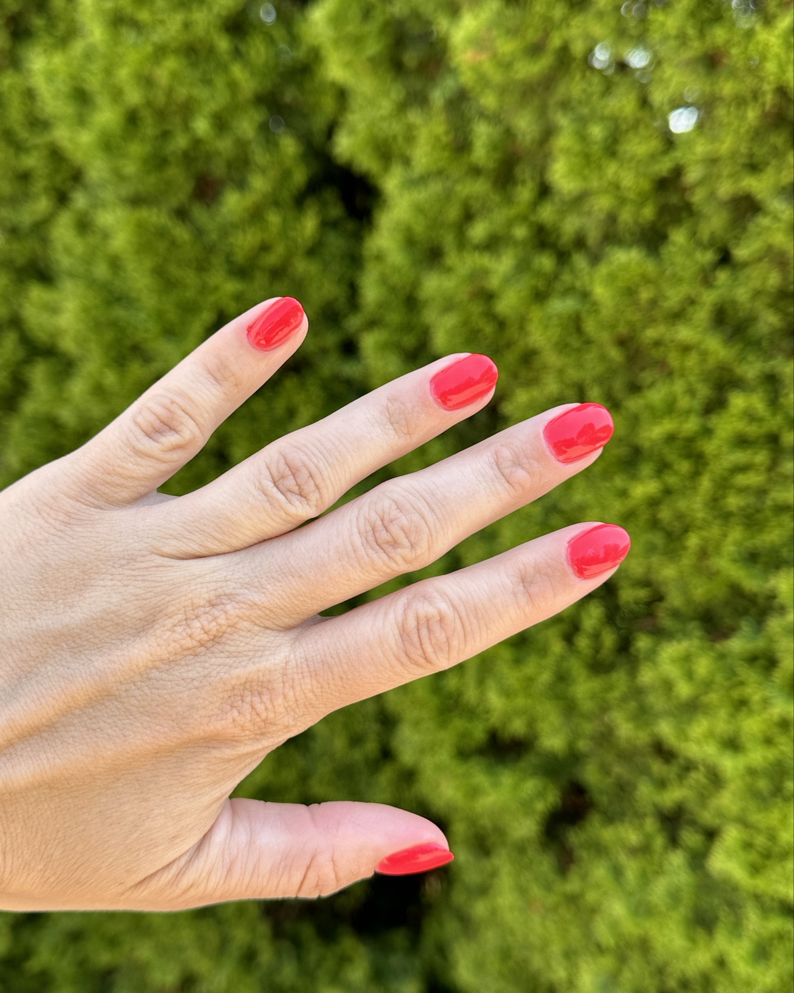 Summer nails ✔️
Brightest bright red ✔️ 
Saving money with diy ✔️ 
#nails #dipnails #dnd #sns #virgo&gem #amazon

#LTKbeauty #LTKfindsunder50 #LTKSeasonal