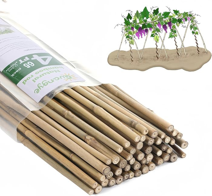 Plant Bamboo Post,4Feet,Bamboo Garden Stakes,65PcsBamboo Stakes,for Tomato,Beans,Vegetable and Fl... | Amazon (US)