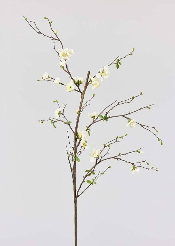Afloral Artificial Flowers | Cream Artificial Blossom Branch - 57" | Amazon (US)