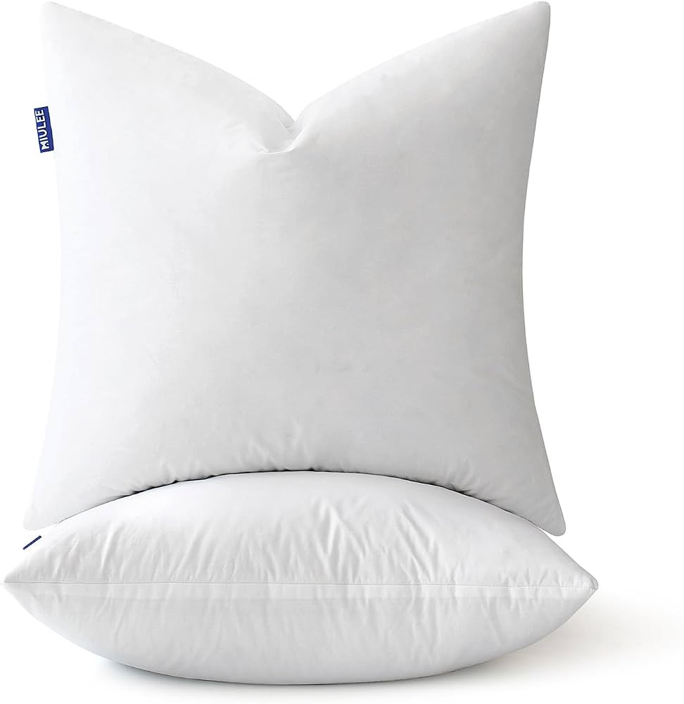 MIULEE 22 x 22 Premiun Goose and Feather Down Throw Pillow Inserts,Set of 2 Soft Fluffy Pillow In... | Amazon (US)