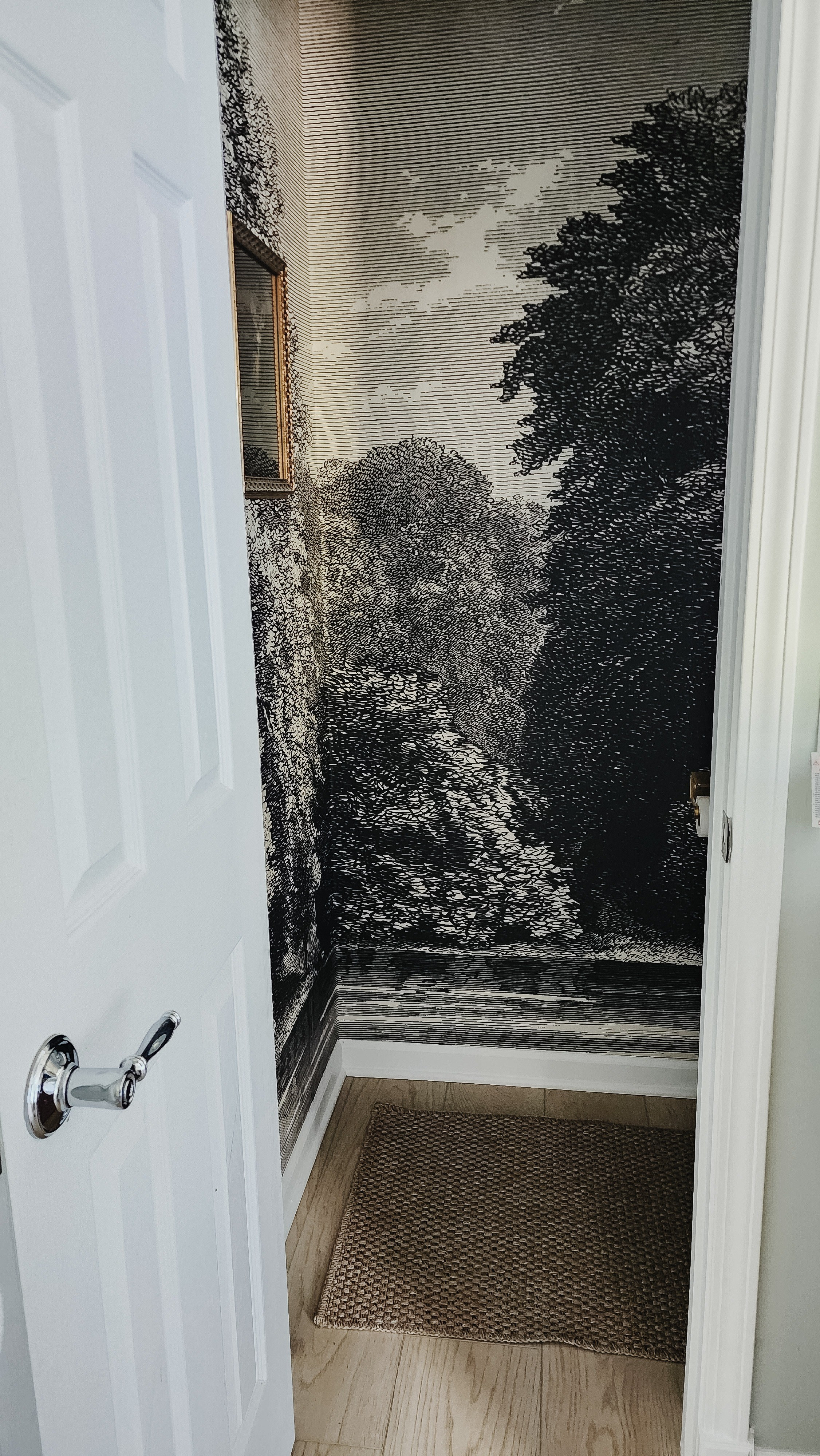 Still love my Water Closet view!  This washable rug is so soft!

#LTKHome #LTKFindsUnder50 #LTKStyleTip