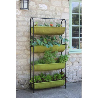 Haxnicks 2.5 ft x 1 ft Vigoroot Balcony Garden Tabyana | Wayfair North America