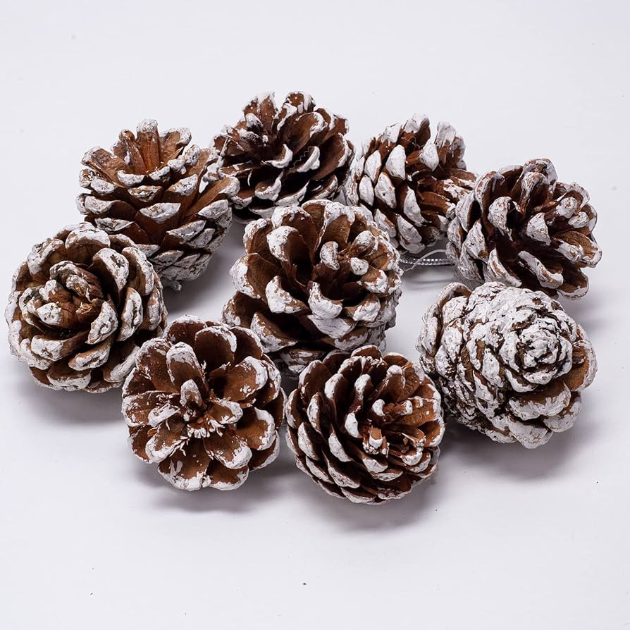 24pcs Christmas Pine Cones, Natural Pinecones Ornaments With String, Large Christmas Tree Pine Co... | Amazon (US)