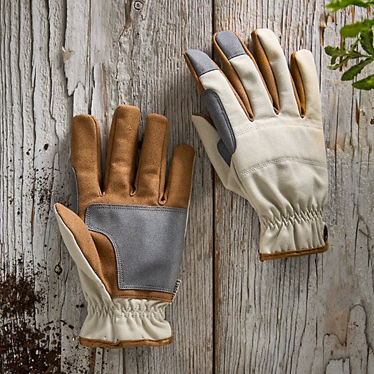 Barebones Padded Gardening Gloves | Terrain