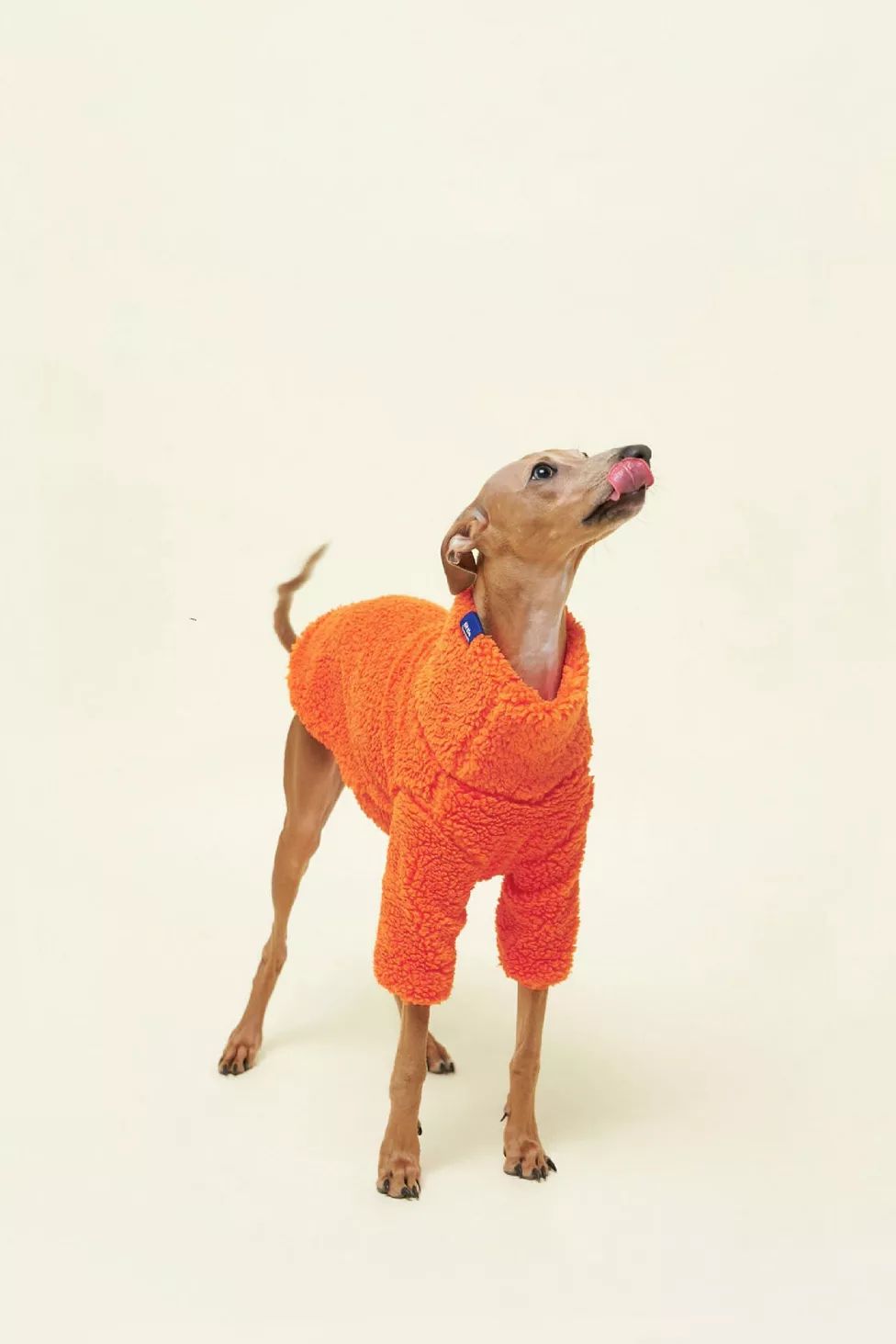 Little Beast Fleece Pet Sweatshirt | Urban Outfitters (US and RoW)