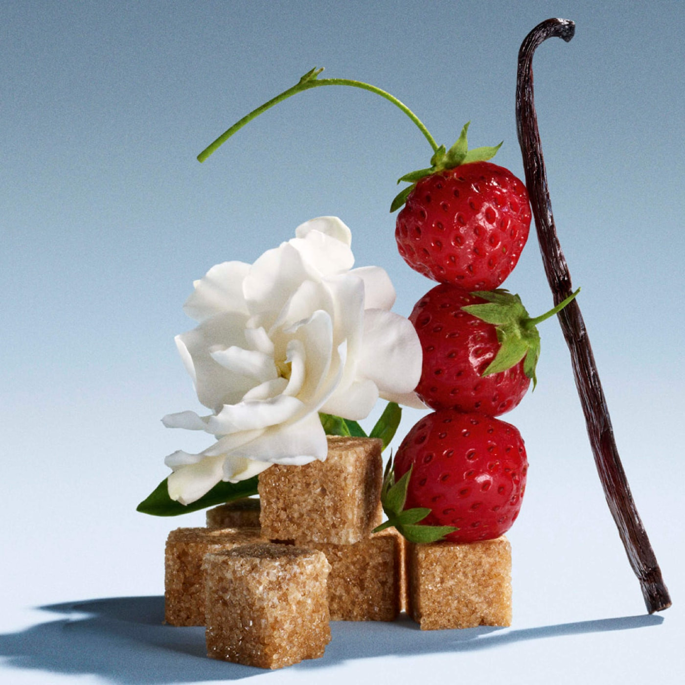 Soft, modern, and perfectly giftable 🤍
This mini perfume duo blends floral and warm notes for a scent that feels effortlessly elegant — ideal for travel, layering, or discovering your new signature.

Up to 20% off right now with code EVERYTHING — ends 11/10.

#LTKBeauty #LTKSaleAlert #BeautyDeals #FragranceFavorites #PerfumeLover #HolidayBeauty #GiftableBeauty #HerAvenueFinds 

 #LTKGiftGuide #LTKSaleAlert #LTKBeauty