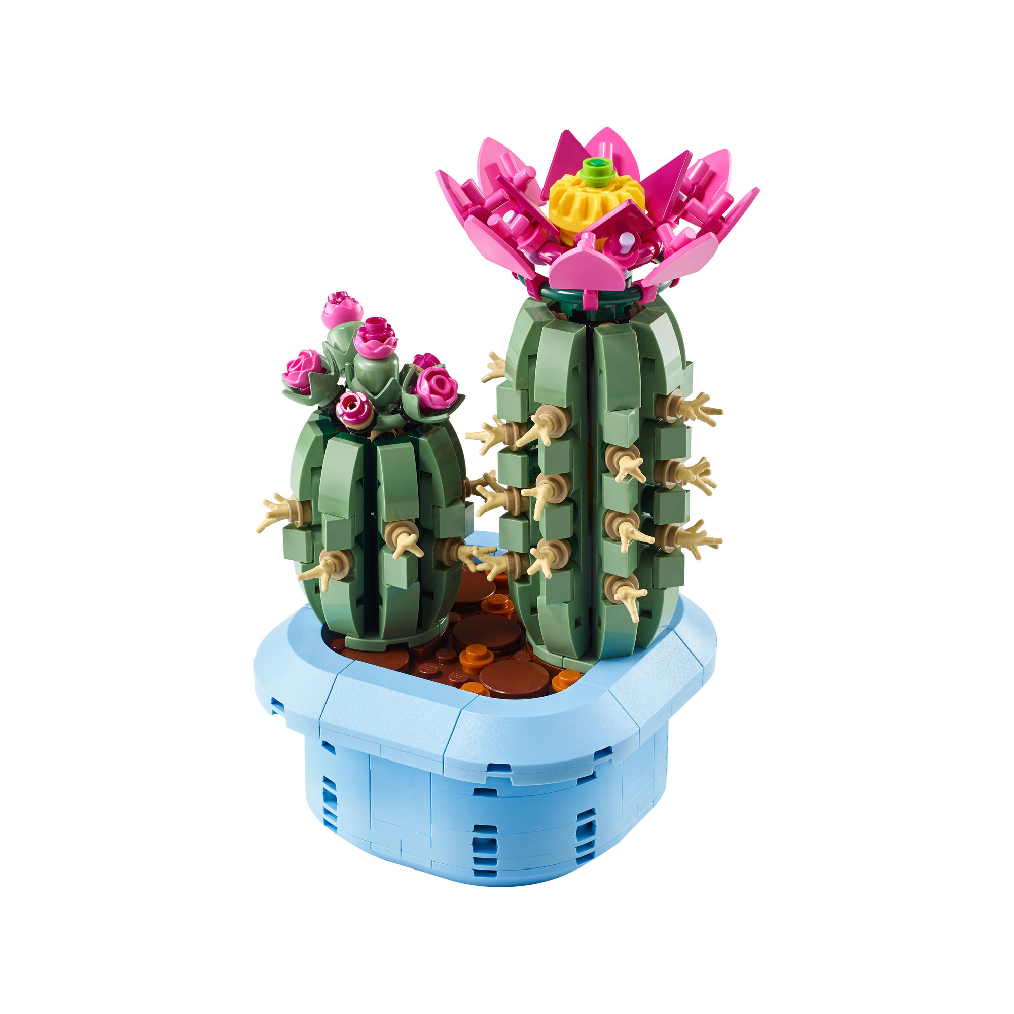 Botanicals Flowering Cactus Plants Décor | Brown Thomas (IE)