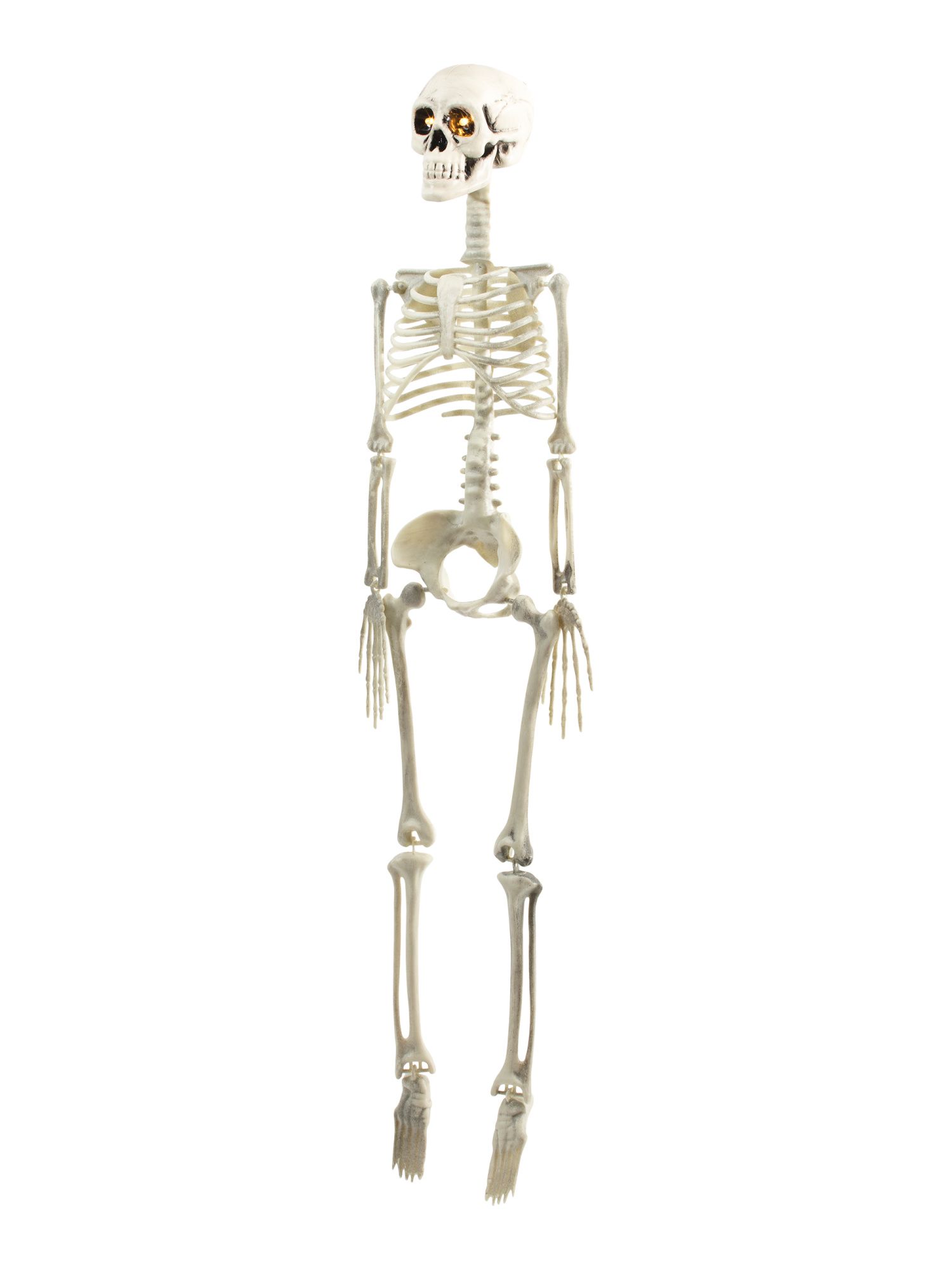 32in Skeleton Decor | TJ Maxx