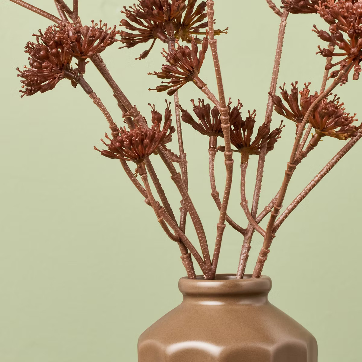 11.5" Eucalyptus Seed Artificial Fall Arrangement - Hearth & Hand™ with Magnolia | Target