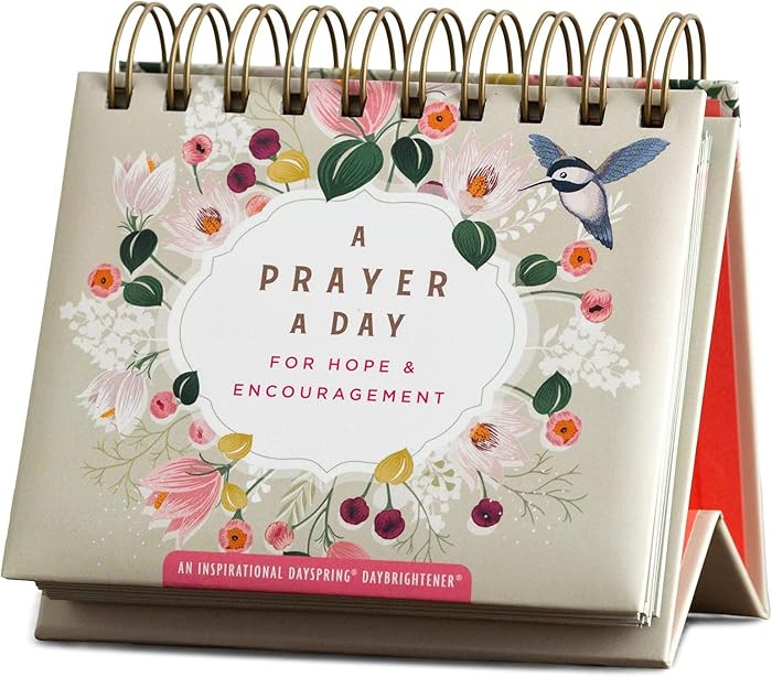 Dayspring - A Prayer a Day for Hope & Encouragement: an Inspirational Dayspring DayBrightener (Pe... | Amazon (US)