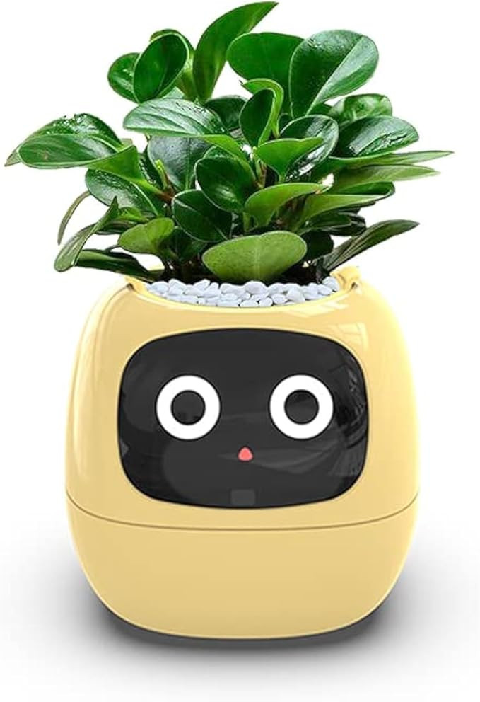 Smart Flowerpots,Smart Pet Planter,Ai Planter,Intelligent Flowerpots,Multiple Expressions,7 Smart... | Amazon (US)