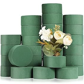 28 Pieces Round Floral Foam Wet... | Amazon (US)