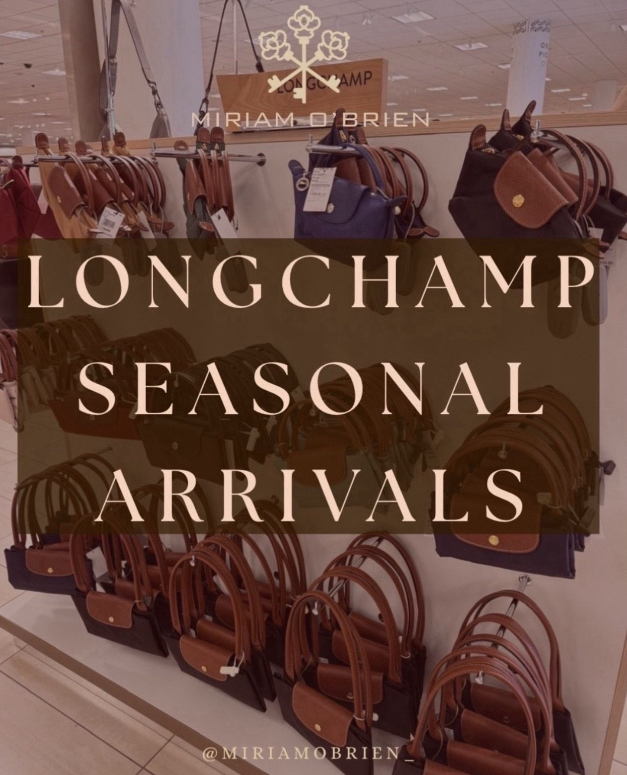 Gorgeous Seasonal Longchamp bags

Follow me at @miriamobrien_ on IG and TikTok! 

#LongchampTrendy #SeasonalLongchampBags #LongchampArrivals #SeasonalFashion 

#LTKStyleTip #LTKBeauty #LTKSeasonal

#LTKOver40 #LTKGiftGuide #LTKHoliday

#LTKSeasonal #LTKGiftGuide #LTKHoliday

#LTKWorkwear #LTKSeasonal #LTKOver40