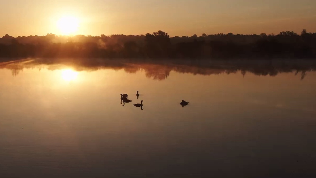 Everything you need for a day outside. This is the time of year to be careful with the heat too. 

#outdoors #lifestyle #selfcare #summer #student #fsmily #commentsbyfans❤️

#LTKSeasonal #LTKTravel #LTKSwim