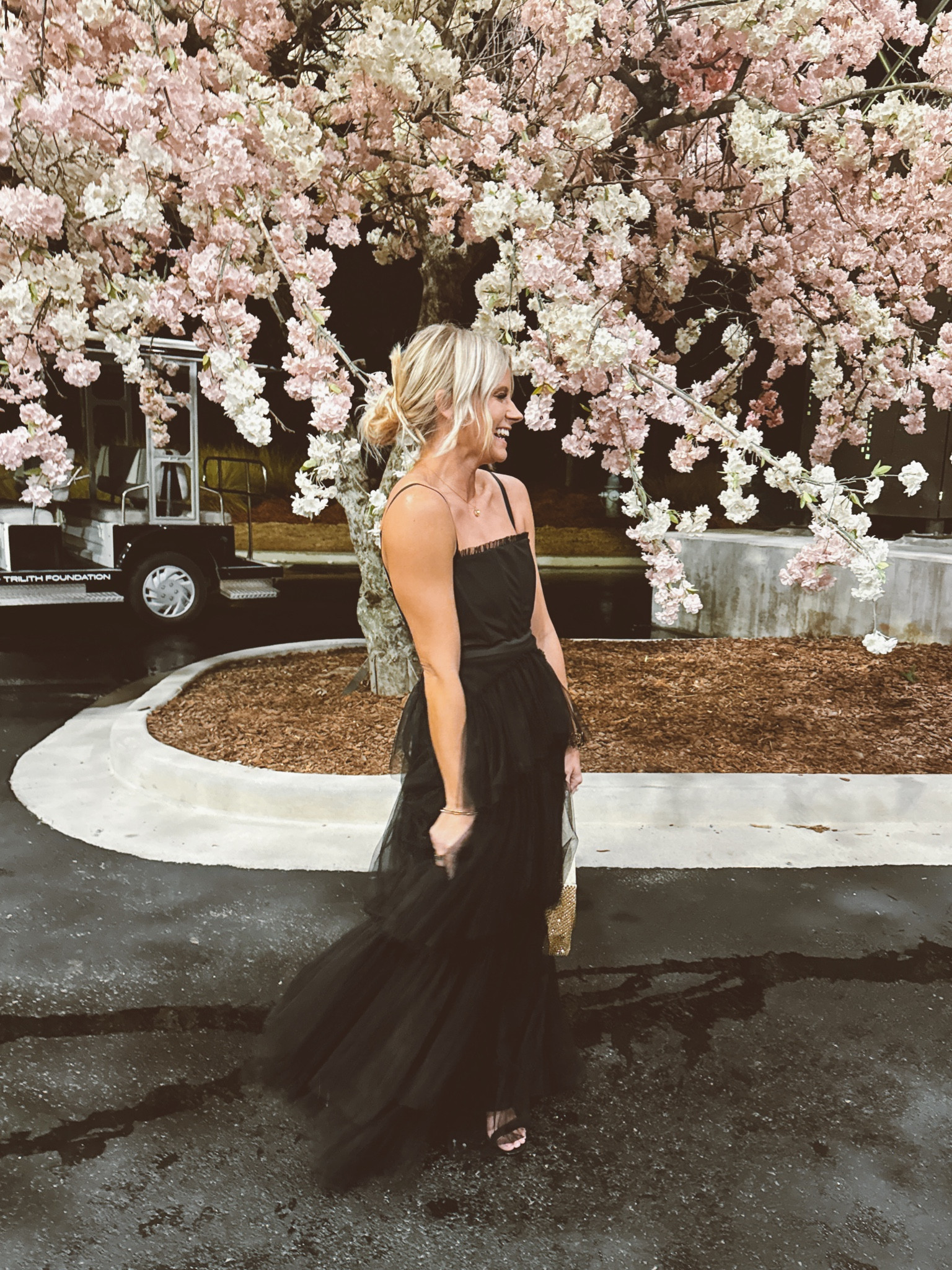 Amazon. Target. Gala

#LTKwedding #LTKSeasonal #LTKstyletip