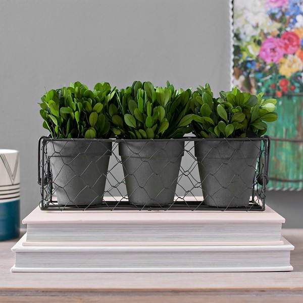 Green Boxwood Wire Basket Arrangement | Kirklands | Kirkland's Home