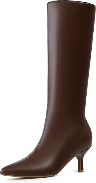 DREAM PAIRS Women's Knee High Kitten Heel Boots Sexy Pointed Toe Fashion Long Tall Boots | Amazon (US)