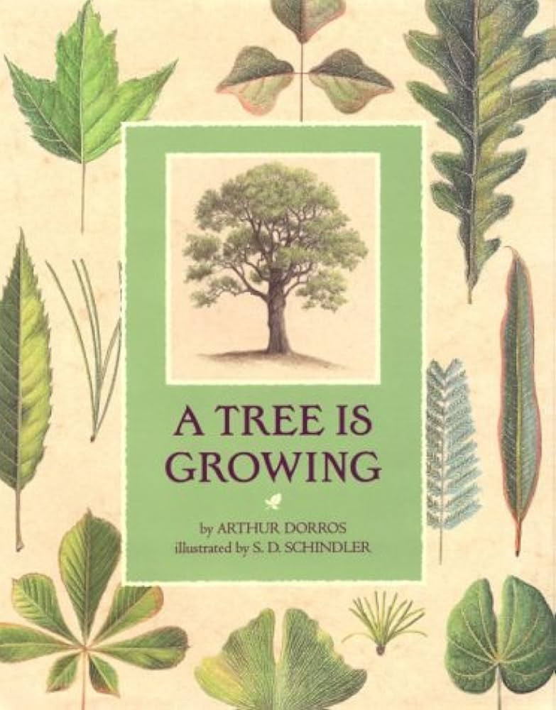 A Tree Is Growing | Amazon (US)