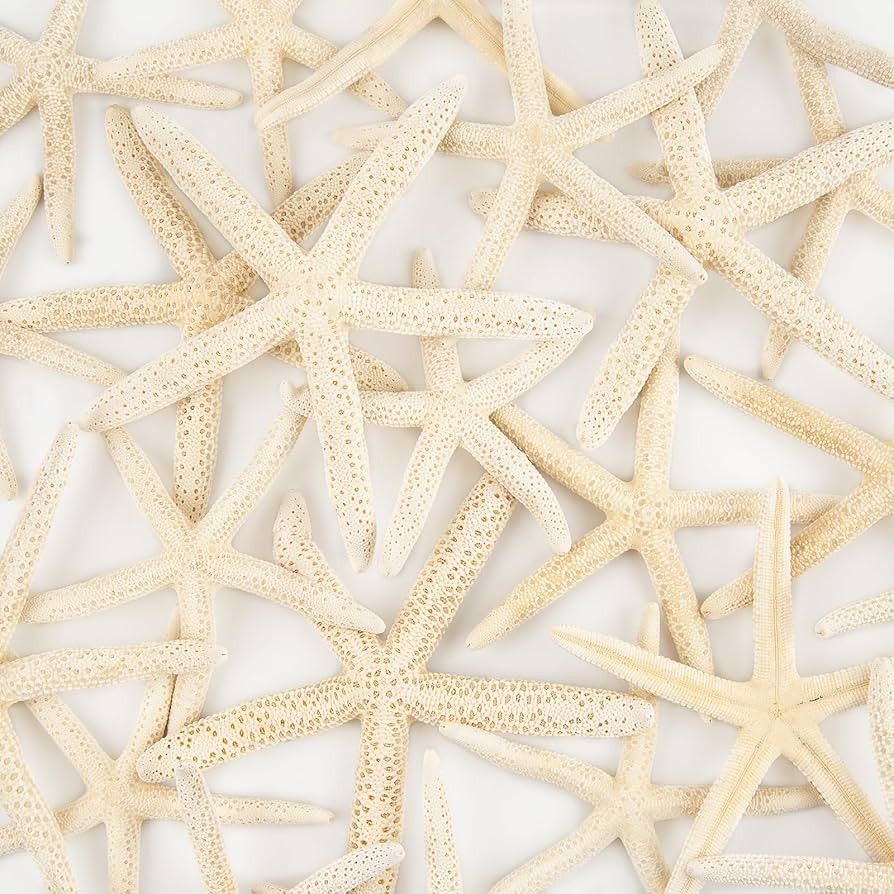 20 PCS Starfish for Crafts 4" to 6" Natural Starfish Decor Bulk, for Wedding Beach Theme Decor Ho... | Amazon (US)