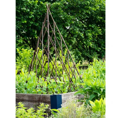 Willow Wood Expanding Trellis MGP Color: Brown, Size: 72" H x 12" W x 1" D | Wayfair North America