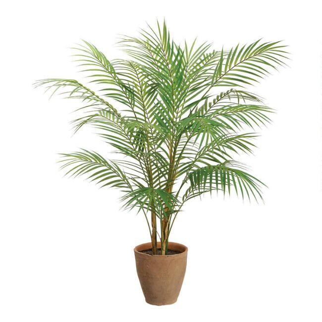 Faux Areca Palm Tree In Ceramic Pot | World Market