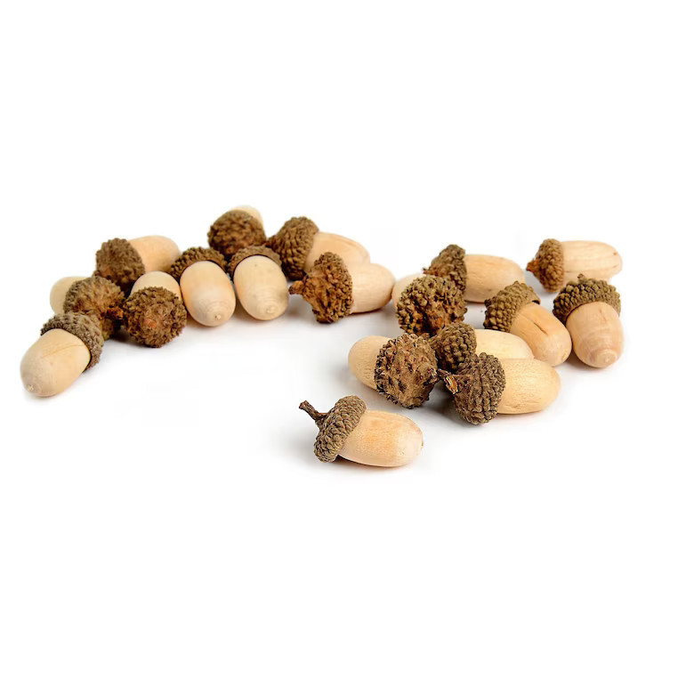 Streuartikel Eicheln online kaufen | DEPOT | DEPOT Onlineshop DE