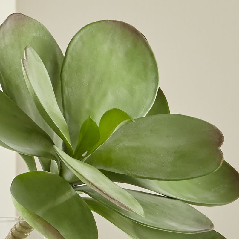 Dusty Paddle Artificial Kalanchoe + Reviews | Crate and Barrel | Crate & Barrel