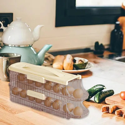 Egg Dispenser 2 Tiers Egg Holder Auto Rolling Removable | Wayfair North America