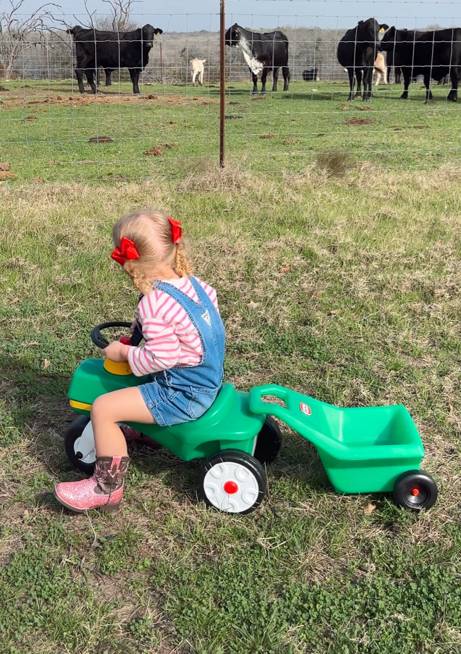 #LTKGiftGuide #LTKBaby #LTKKids