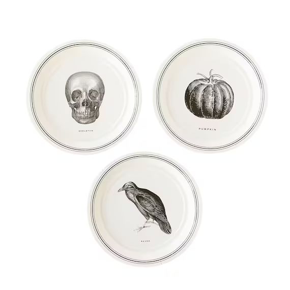 Halloween Plates  | Halloween Paper Plates - Halloween Dessert Plate - Skull Paper Plates - Hallo... | Etsy (US)