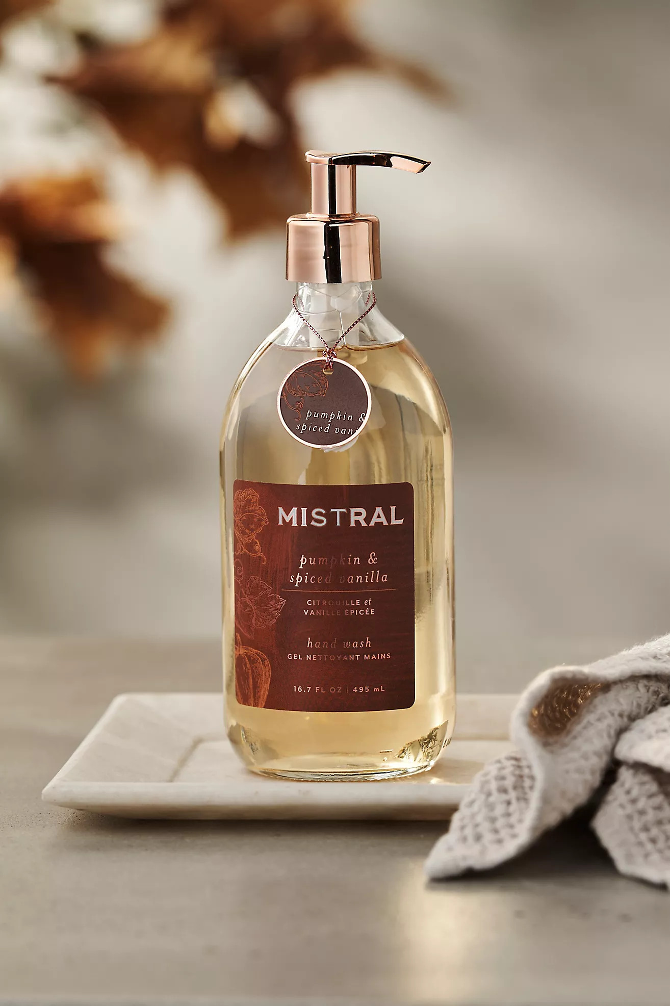 Pumpkin + Spiced Vanilla Hand Wash | Anthropologie (US)