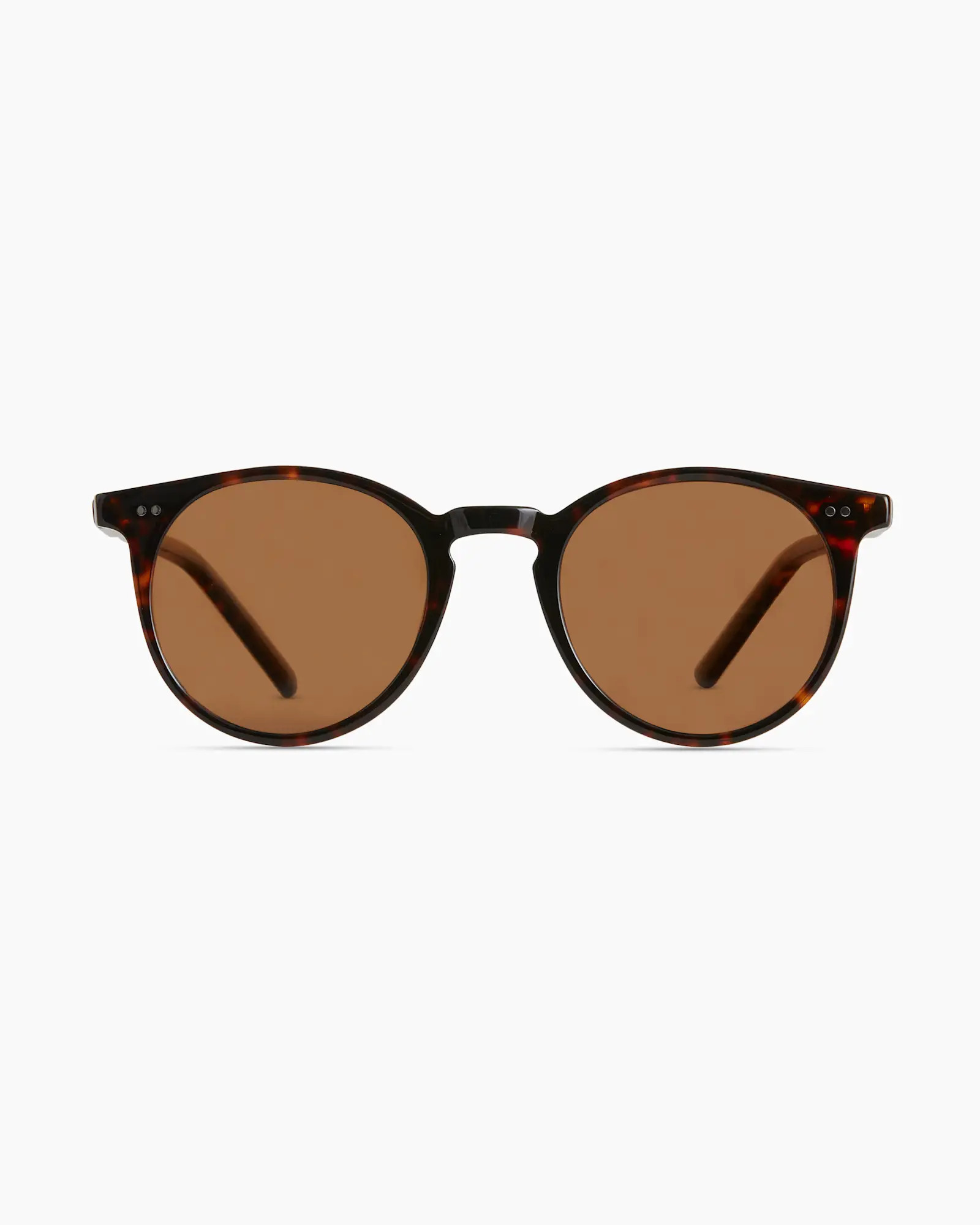 Noah Polarized Acetate Sunglasses | Quince