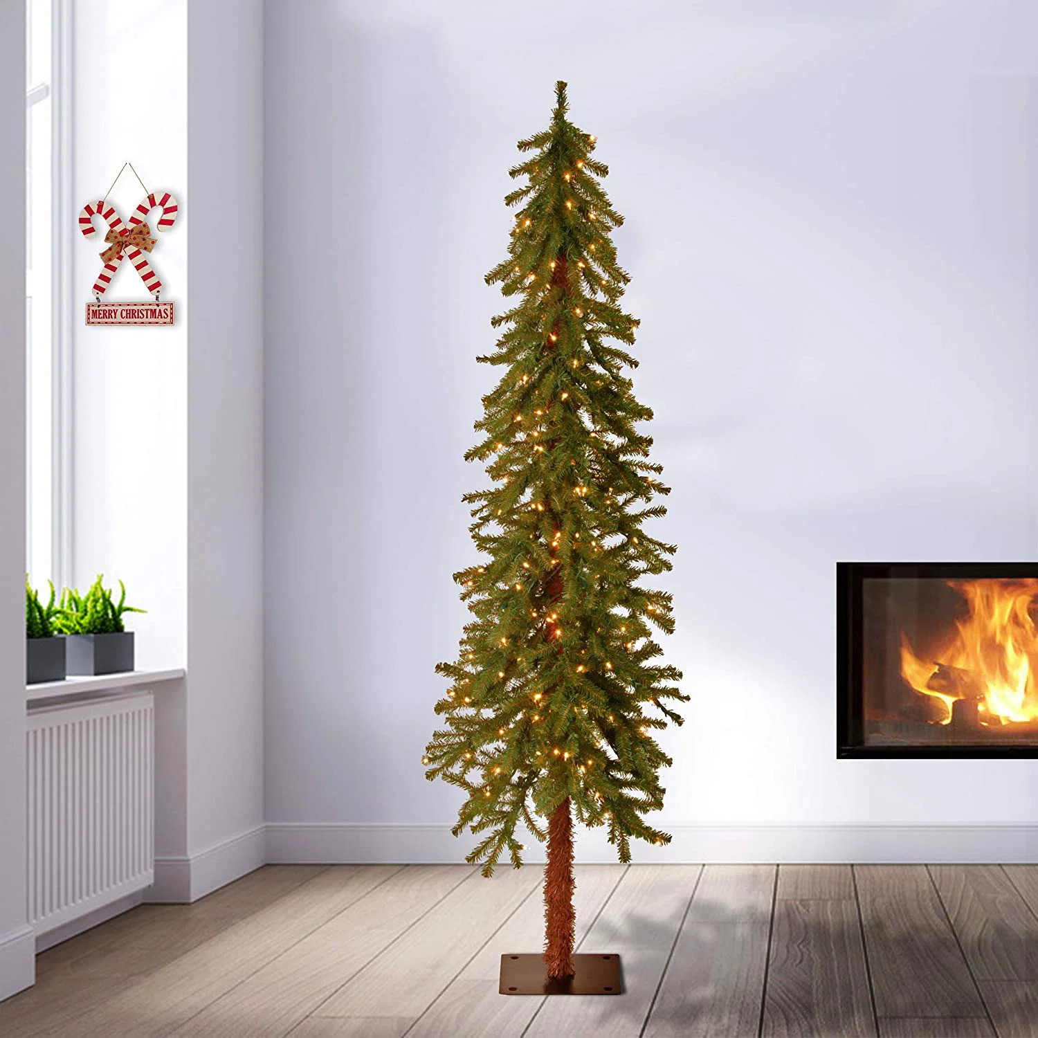Hickory Cedar Tree | Wayfair North America