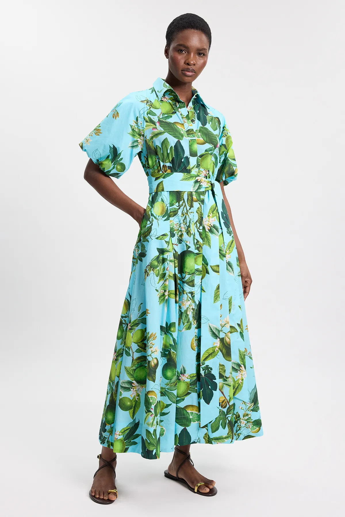 Multi Karen Millen Petite Lime Print Cotton Puff Sleeve Woven Midi Shirt Dress With Dropped Waist... | Boohoo.com (UK & IE)