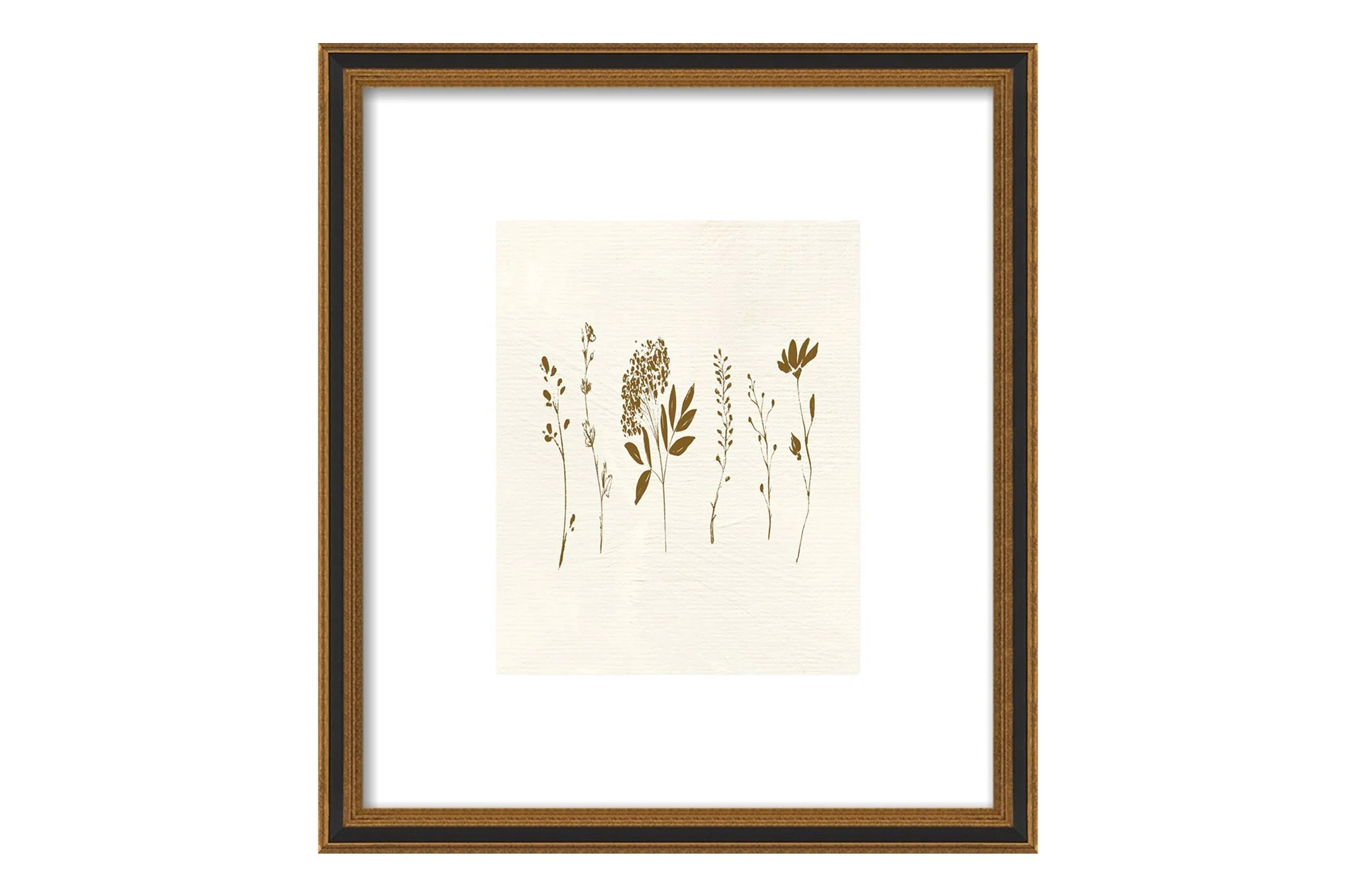 Summer Wind II | North and Finch