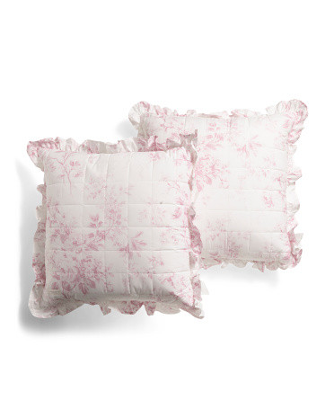 24x24 2pk Euro Pillows | TJ Maxx