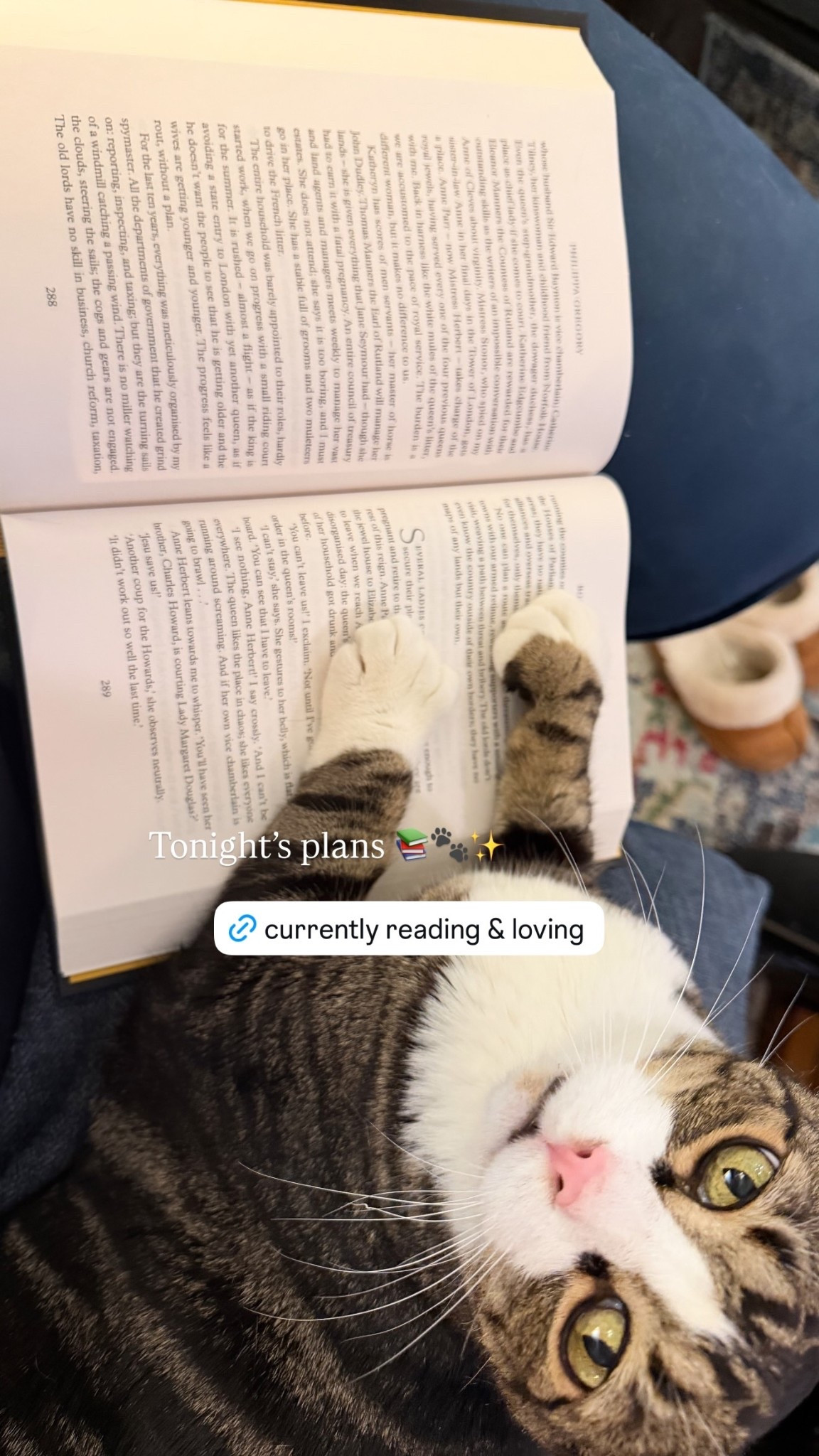 Tonight’s plans 📚🐾✨ a good book, my heated blanket, and a cozy cat 

#LTKstorytime #LTKHome #LTKdayinmylife
