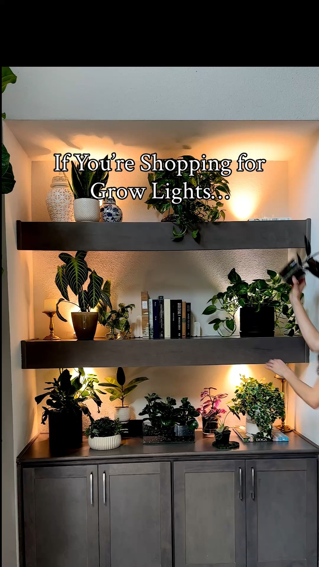 
Use code JACQUELYNGROWS20 for 20% off ✨
Works on Barrina’s OG-09 Series, Terra Series, and TR Series grow lights.

If you’ve been trying to figure out which grow lights are actually worth using, here are my top five and what each one is best for. 🌿✨

1. Barrina Puck Grow Light
Perfect for shelves. Low-profile, bright, and great for small plants that need steady light.

2. Soltech Hanging Grow Light
Blends beautifully with decor and has a super smooth dimmer for a natural look.

3. SANSI 10W Clip-On Grow Light
Easy to position, strong for its size, and great for small potted plants.

4. SANSI BR30 40W Grow Bulb
Works in most lamps and gives you strong, efficient light instantly.

5. Barrina T1S Movable Light
Lightweight, portable, and perfect for brightening low-light corners in your home.

#houseplants #growlight #plantcare #indoorplants #urbanjungle #plantsetup #planttips #plantlover

shelf grow lights | puck grow lights | clip on grow light | BR30 grow bulb | movable grow light | best grow lights for plants

#LTKOver40 #LTKHome #LTKmomlife