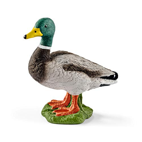 Schleich Farm World Duck Toy Figurine - Highly Detailed and Durable Farm Animal Toy, Fun and Educational Play for Boys and Girls, Gift for Kids Ages 3+ | Amazon (US)