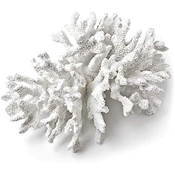 Abbott Collection 3D Coral Branch, White (Extra Large) | Amazon (US)