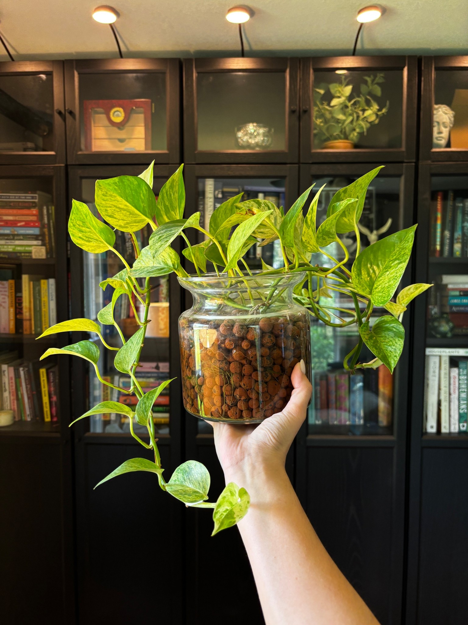 LECA supplies. LECA is an alternative to soil— it’s little clay balls you add nutrients too. Houseplant lovers know about BUGS 😟 it’s harder for plants that are grown in LECA to attract bugs, because there’s no soil! Soil is a breeding ground for pests because it’s dark and damp. LECA lets a lot of light in!

#LTKSummerEdit #LTKFindsUnder100 #LTKHome