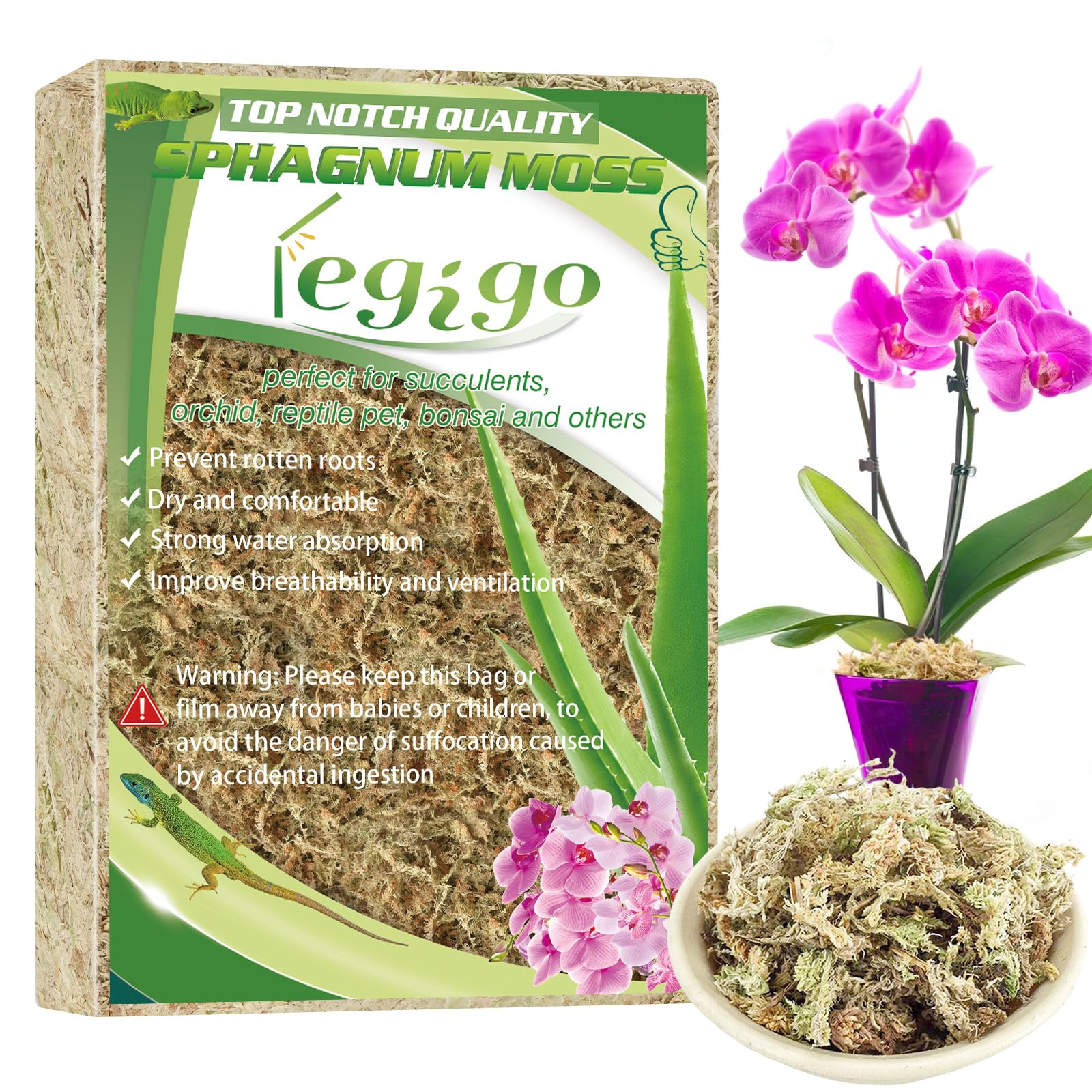 Legigo 3.5oz Premium Sphagnum Moss Potting Mix- 4 QT Natural Succulent Carnivorous Plants Moss Dr... | Amazon (US)