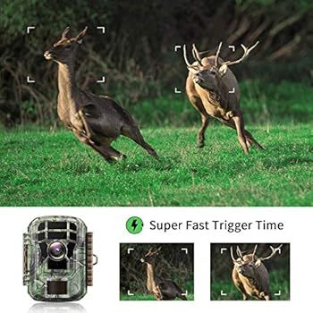 Campark Mini Trail Camera 16MP 1080P HD Game Camera Waterproof Wildlife Scouting Hunting Cam with... | Amazon (US)