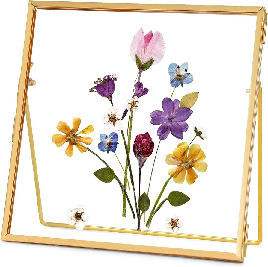 REDHUGO Double Glass Frame for Pressed Flowers Handmade, Tabletop Photo Frame for Floating Pictur... | Amazon (US)