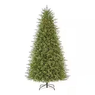 Home Decorators Collection 9 ft Grand Duchess Balsam Fir 21LE31010 - The Home Depot | The Home Depot