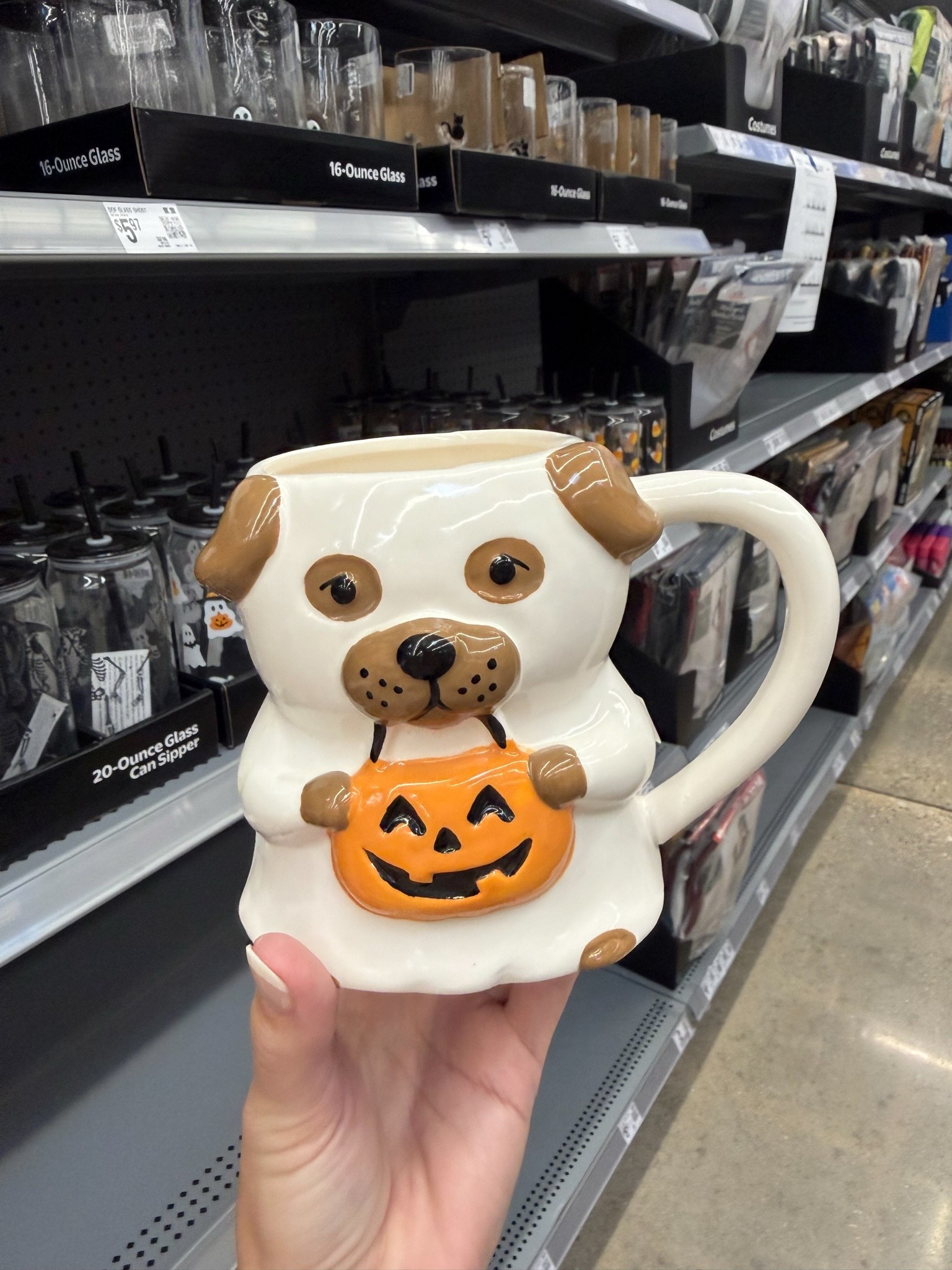 The cutest Halloween mugs! Love these trick or treat dog mugs! Perfect for apple cider or any festive Halloween drink!

#LTKHome #LTKSeasonal #LTKmomlife