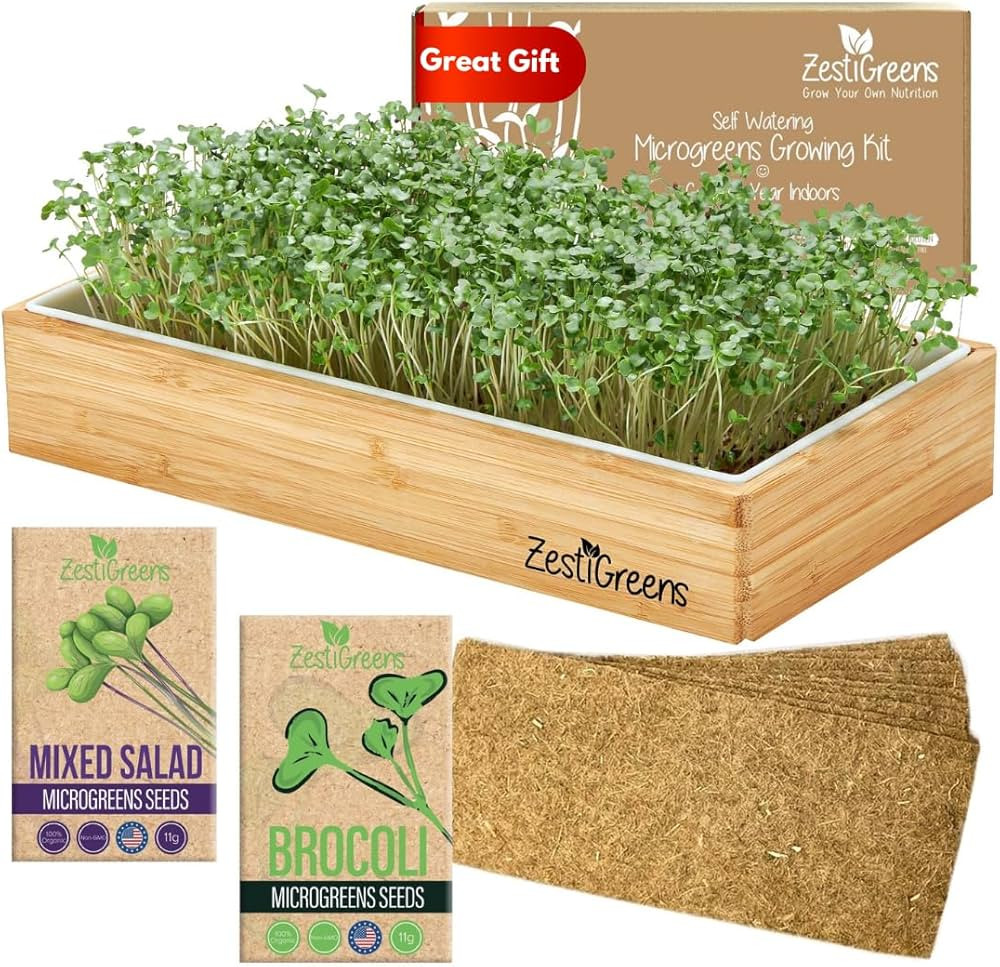 Self Watering Microgreens Growing Kit. Hands Down the Easiest Way to Grow Microgreens. Includes M... | Amazon (US)