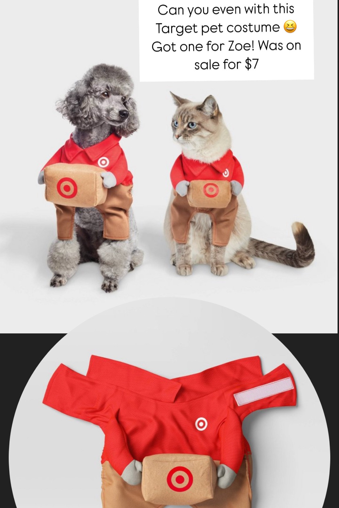 Halloween costumes for pets - Target theme! 

#LTKFamily #LTKSeasonal #LTKHalloween