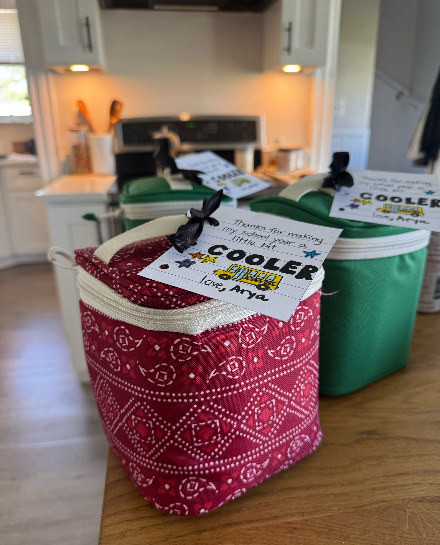 Mini Coolers from Target 

#LTKHome #LTKfoodie #LTKMothersDay