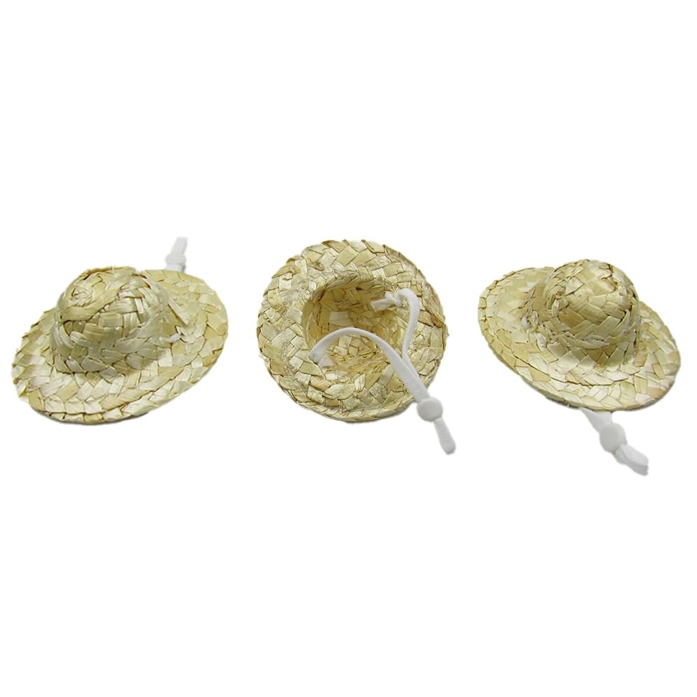 3Pcs Chicken Hats for Hen Small Animal Straw Hat Helmet for Real Chickens 3.1 Inch Mini Hamster P... | Amazon (US)
